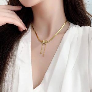 سلسله استانلس فراشه